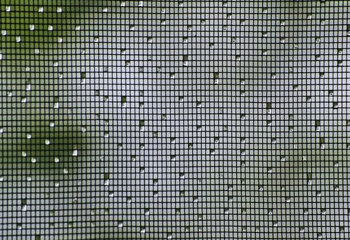 moustiquaire moustiquaire gouttes d'eau